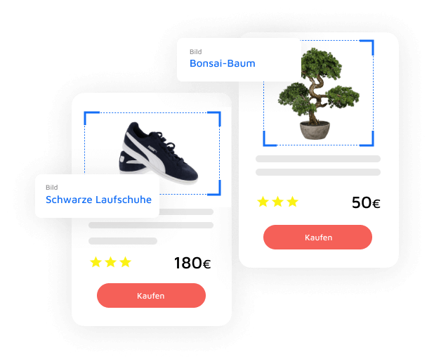 Demo von AccessWay, wo das Bild eines Bonsai-Baums und eines Paars schwarzer Schuhe erkannt wird